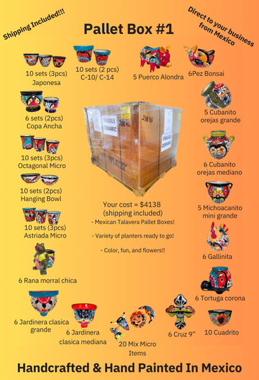 Meter Box of Authentic Mexican Talavera Planters (Box 1) – Assorted Decorative Garden Pots